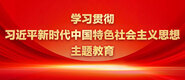 操操操操逼逼逼逼学习贯彻习近平新时代中国特色社会主义思想主题教育_fororder_ad-371X160(2)